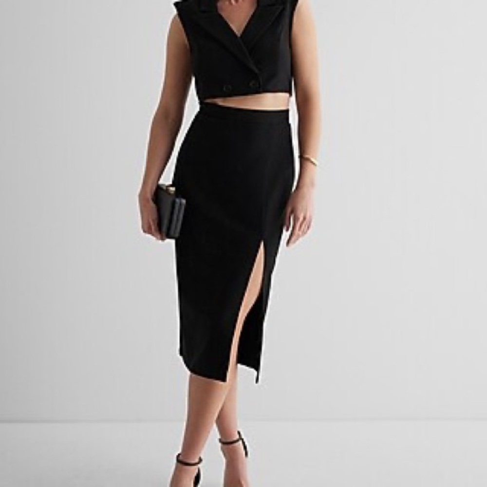 Express Black Pencil Skirt
